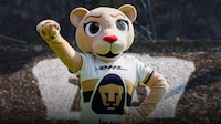 Pumas presenta a ‘Goya’, nueva mascota de su equipo femenil (VIDEO)