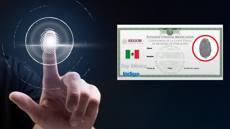 ¿La CURP Biométrica ya es obligatoria en 2026 para trámites oficiales? Dónde obtenerla y requisitos