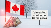Canadá tiene vacante de trabajo con sueldo de 35 MIL PESOS y sólo secundaria terminada; REQUISITOS