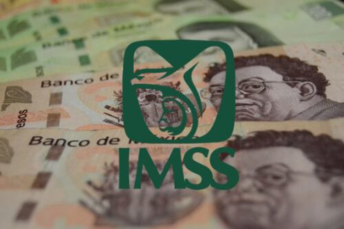 Pensión IMSS: ¿Cómo puedes recibir el pago de 60 MIL pesos al mes? Requisitos