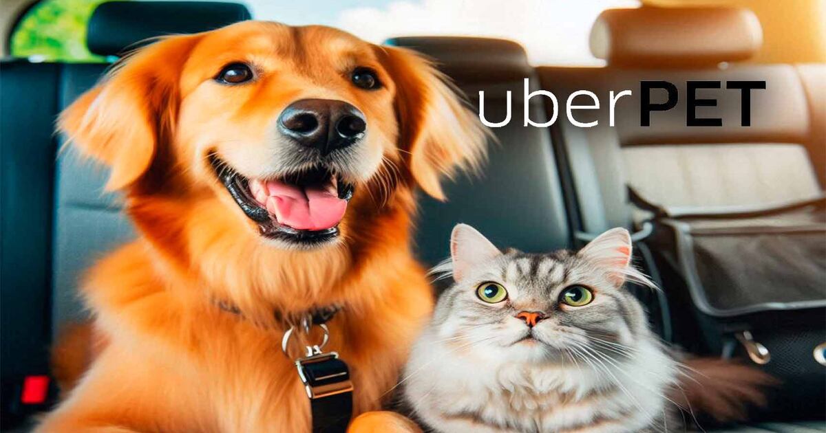 Petuber ¡Uber Pet llegó a México! Cómo pedir un viaje, costos y en qué ciudades ...
