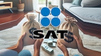 Esta es la cantidad de DINERO que puedes tener en EFECTIVO sin tener problemas con el SAT o la Ley