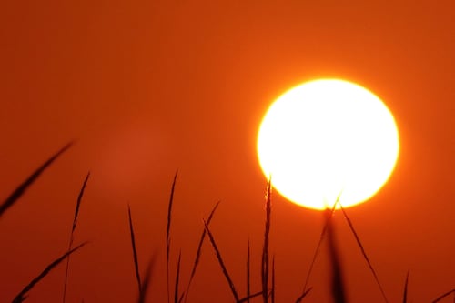 Canícula 2026: ¿Cómo cuidarse y evitar enfermarse de diarrea o sufrir un golpe de calor?