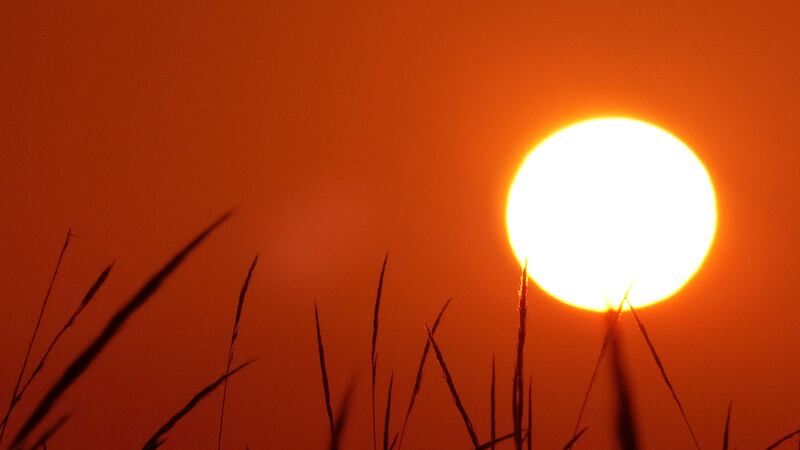 Canícula 2026: ¿Cómo cuidarse y evitar enfermarse de diarrea o sufrir un golpe de calor?