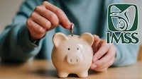 ¿Te pueden quitar tu Pensión IMSS 2026 si dejas de cotizar durante varios años? Esto dice la ley
