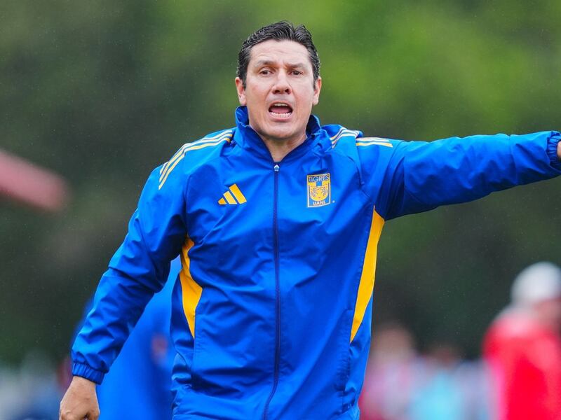 DT interino de Tigres pide paciencia a la afición tras derrota ante Gallos: ‘Merecíamos más’