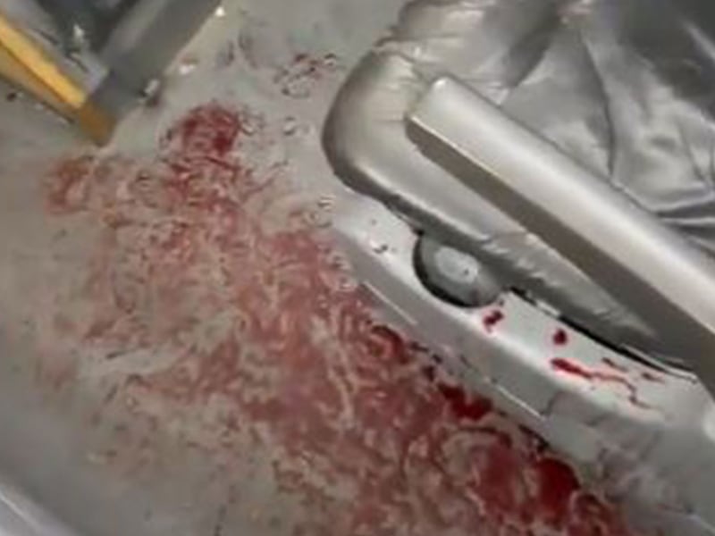 Violencia extrema en Copa Sudamericana: Balean microbús de fans de Tigre en Uruguay; hay un herido