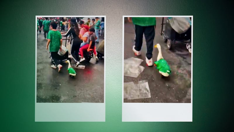 Pato con playera de México SE HACE VIRAL durante los festejos del Mundial en el Ángel: VIDEO