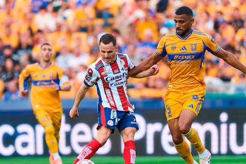 Tigres vs Atlético San Luis EN VIVO: Mira el minuto a minuto y goles partido Jornada 17 Liga MX Apertura 2025