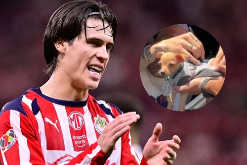 No es broma: Diego Campillo autografió a perrito chihuahua que ‘se relaja viendo a Chivas’ (VIDEO)