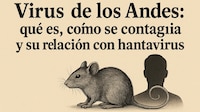 ¿Qué es el Virus de los Andes, cómo se contagia, síntomas, tratamiento y relación con el Hantavirus?