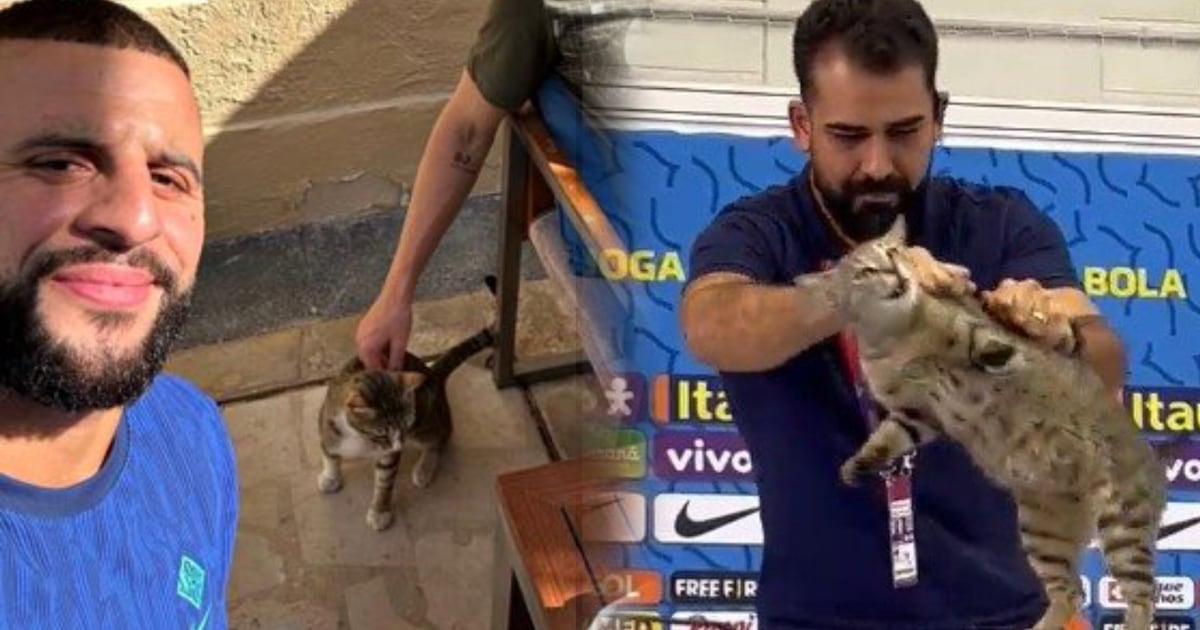 Qatari Fox En Brasil lo ‘aventaron’, pero Inglaterra lo hizo su amigo; Walker ...