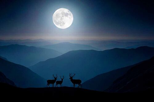 Luna Llena Julio 2025: qué es la Luna de Ciervo, significado, fecha y horarios para verla en México