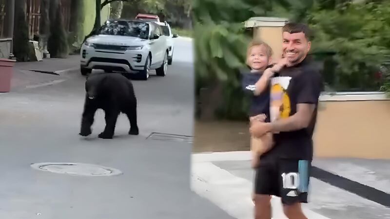 ¡El ‘SUSTO’ de su vida! Ángel Correa se encontró con UN OSO en las calles de Monterrey (VIDEO)