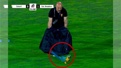 Un utilero intentó capturarla con una chamarra, pero se le escapó.