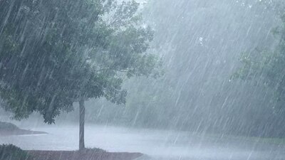 Se pronostica un ambiente cálido y caluroso en Baja California, Baja California Sur y Sonora