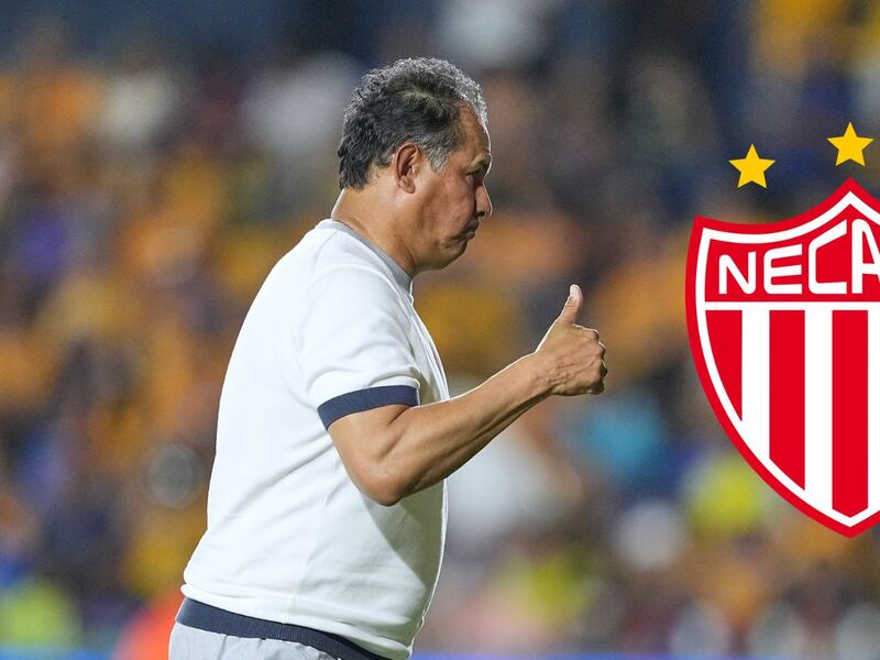 ¡Necaxa tendría nuevo DT! Reportan acuerdo con Juan Reynoso, quien guio a Cruz Azul hacia la novena