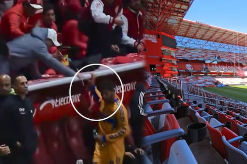 Liga MX vetó una sección del Nemesio Diez por fan que golpeó a Gignac; compensarán a abonados con boletos