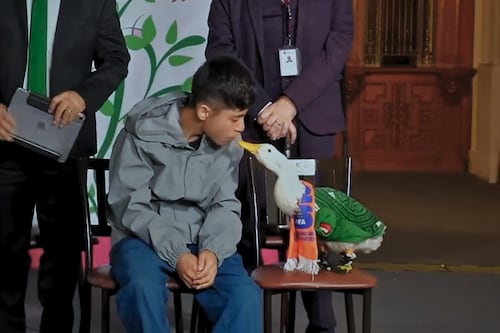 ¡Fin de la controversia! Registro comercial del Pato Merlín pertenece a su familia, confirma el IMPI