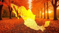 ¿Cuándo empieza el Otoño 2025 en México? Fecha exacta en que entra y pronóstico del clima
