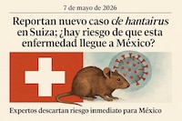 Reportan nuevo caso de Hantavirus en Suiza, ¿hay riesgo de que esta enfermedad llegue a México?