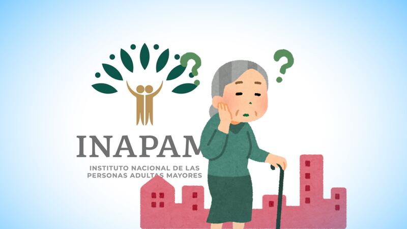 ¿Tienes Tarjeta INAPAM? Estos adultos mayores deben renovar su credencial en Junio 2026