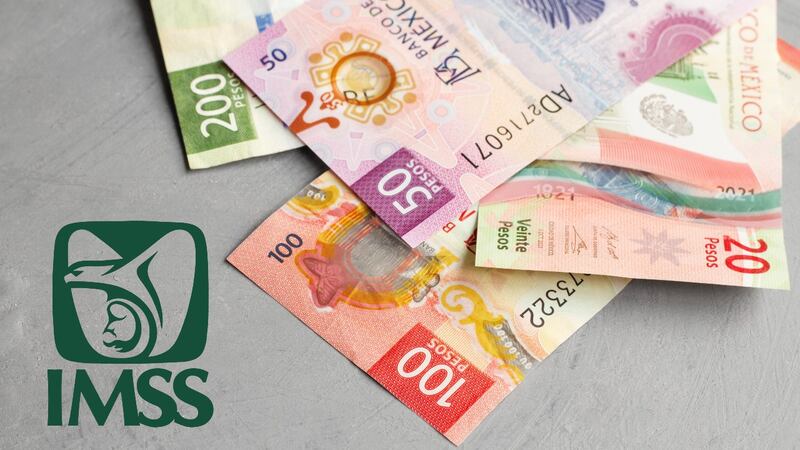 Pensión IMSS: Si mueres antes de cumplir 60 años, ¿algún familiar puede reclamarla?