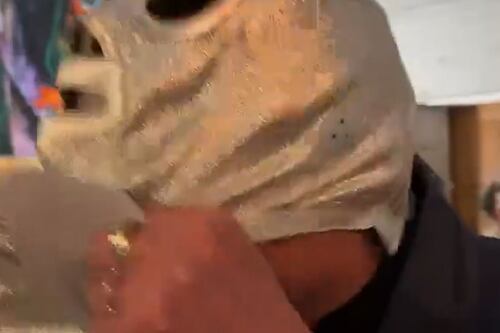 ¡Hijo del Santo se quita la máscara previo a última lucha! ¿Como su legendario papá? (VIDEO)