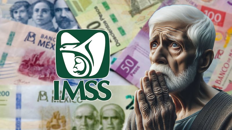 Pensión IMSS: ¿Concubinas tienen derecho al pago por viudez? SCJN lo aclara