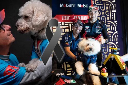Muere Fabbio, perrito famoso por ser fan de Sergio Pérez y la F1; hermano de Checo dedica pésame