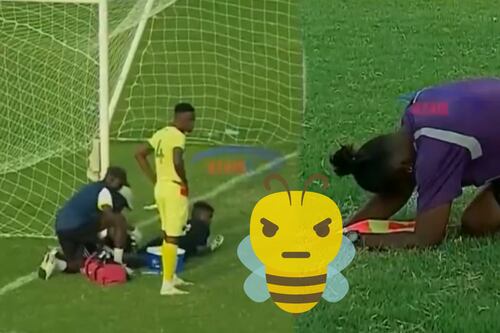 Cosas de Fecha FIFA: Partido en Tanzania se detuvo por ATAQUE de un ENJAMBRE de ABEJAS (VIDEO)