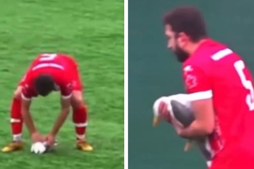 Jugador reanima a una gaviota en pleno partido de la liga amateur turca (VIDEO)