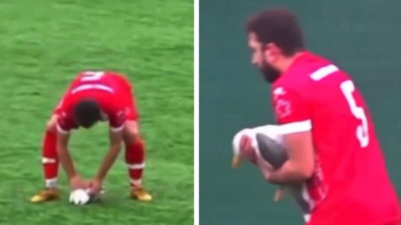 Jugador reanima a una gaviota en pleno partido de la liga amateur turca (VIDEO)