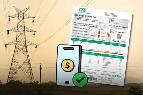 ¿A qué usuarios de CFE NO les cobrará el pago de su recibo de luz en diciembre y por qué?