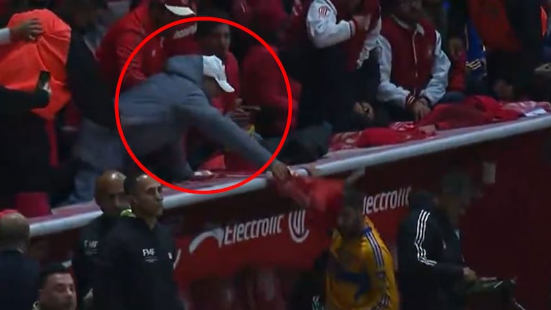 ¡Agredieron a André-Pierre Gignac en la Final entre Toluca y Tigres! Un fan lo golpeó (VIDEO)