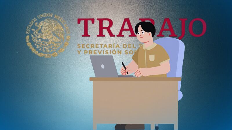 ¿No te pagaron Reparto de Utilidades en 2026? Calcula cuánto te toca y conoce cómo denunciar