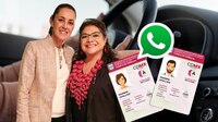 Licencia de Conducir CDMX 2024: Así la puedes renovar desde WhatsApp sin hacer filas